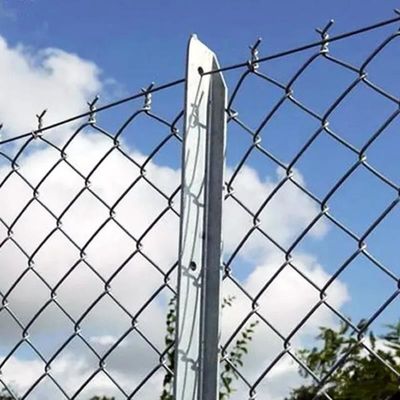 8 футов высоты оцинкованной цепной связки ограждения зоопарка проволока для всех животных